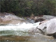 Wilsons Creek 76